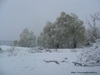 Зима в Апшеронске