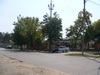 2-   (2015)