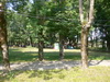  (2015 )